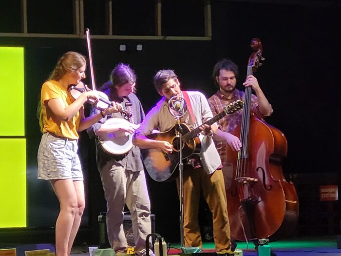 the yellow dandies outdoors